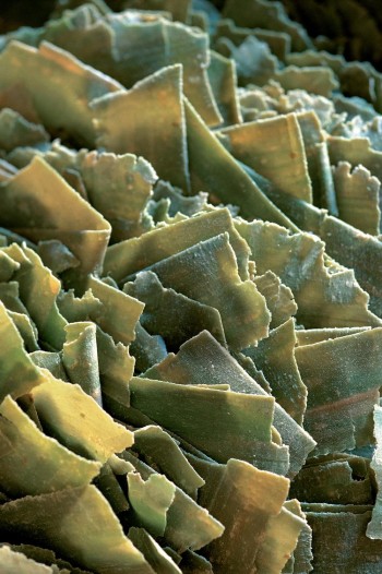 Tadé Jabón de Alepo en escamas para lavar la ropa. 3% Laurel. 750 gr.