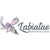 Labiatae 