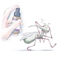 Antimosquitos naturales 